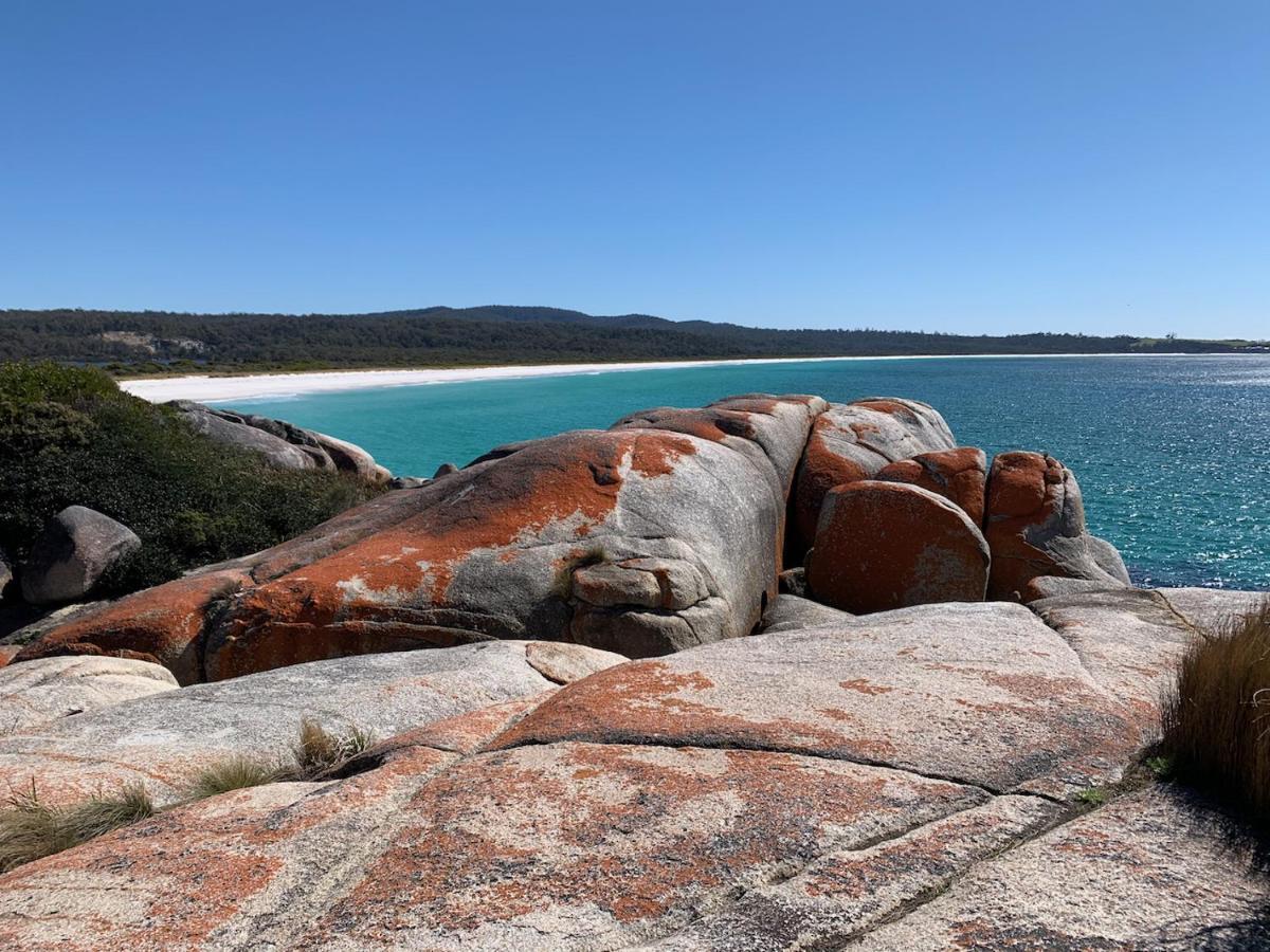 Binalong BayBay Of Fires Great Escape别墅 外观 照片