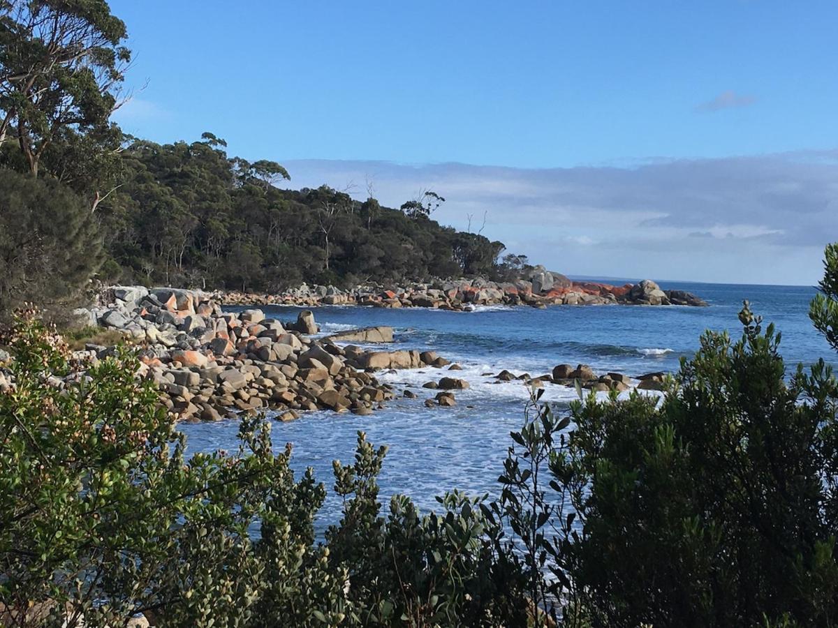 Binalong BayBay Of Fires Great Escape别墅 外观 照片