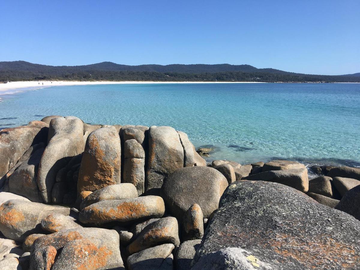 Binalong BayBay Of Fires Great Escape别墅 外观 照片